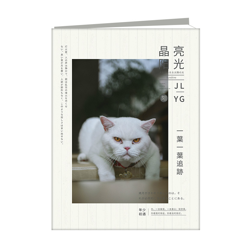 晶亮阳光