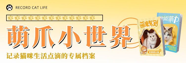 专题活动