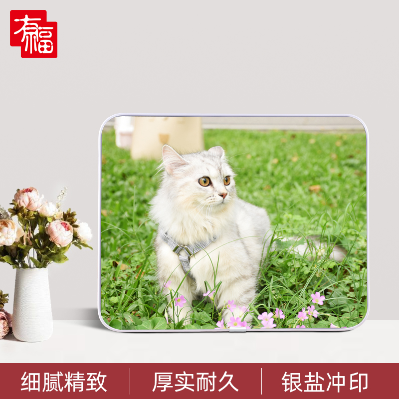 8寸萌宠水晶摆台横款
