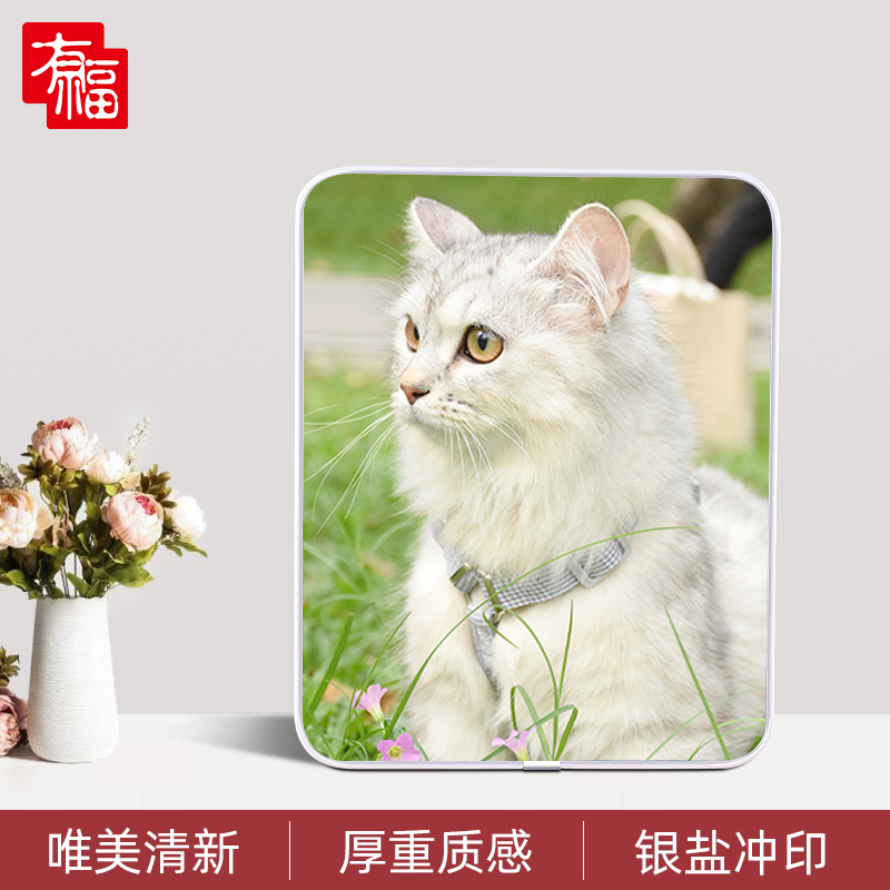 8寸萌宠水晶摆台竖款